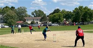 Cricket
